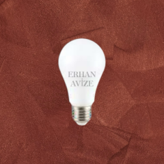 EACT-4277 9W LED Ampul Gün Işığı