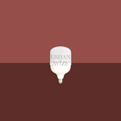 EACT-4329 15W Torch LED Ampul Beyaz Işık