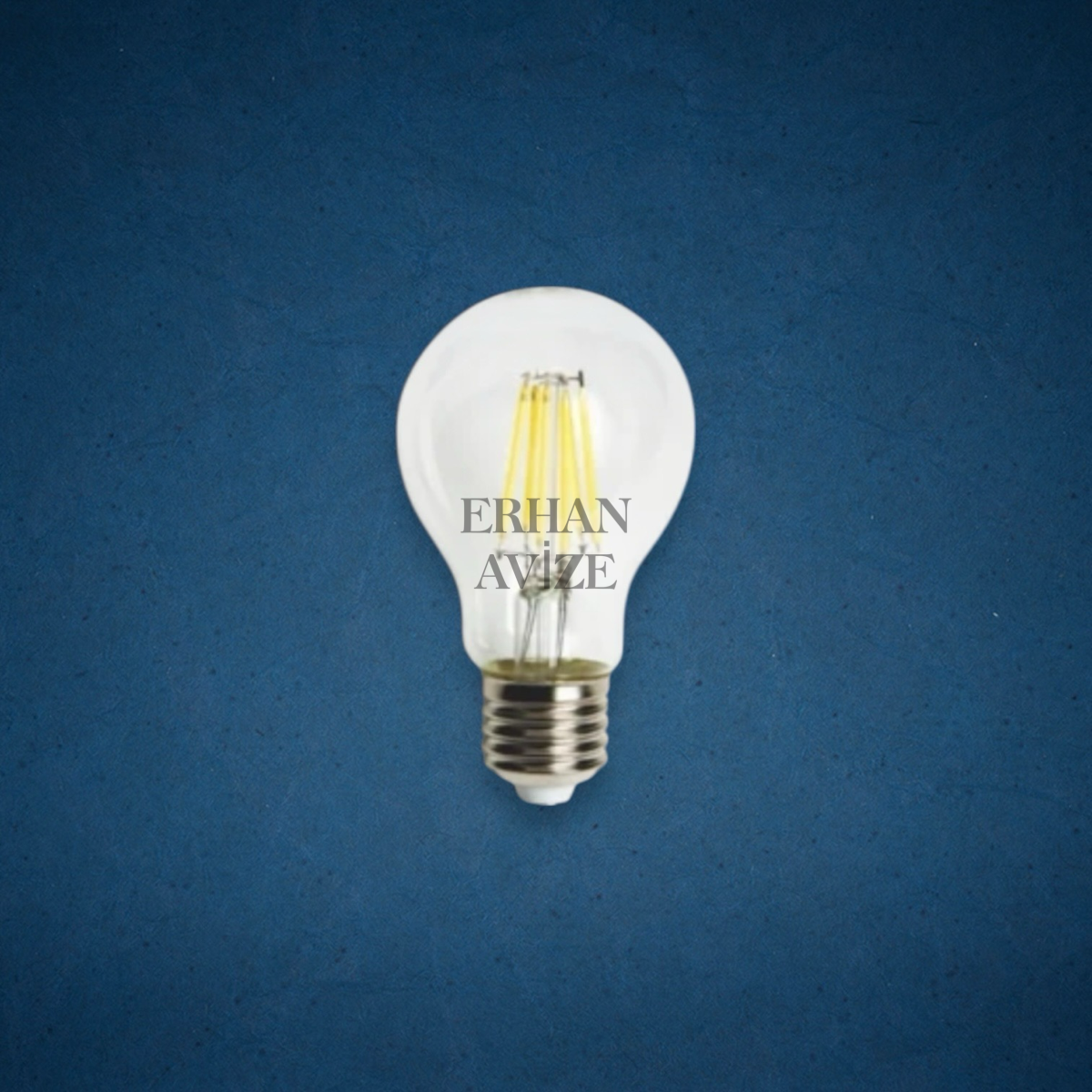 EACT-4231 6W LED Ampul Gün Işığı