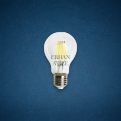 EACT-4231 6W LED Ampul Şeffaf Gün Işığı