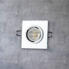 EACT-6556  Sardunya Dekoratif Cam Spot