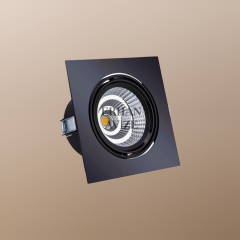 EACT-5053  Jaguar Siyah - Platin Dekoratif Spot