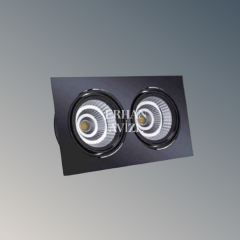 EACT-5054 2'li Jaguar Siyah - Platin Dekoratif Spot