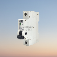 EACT-9610 2 Amper Sigorta C TİPİ ( Monofaze )