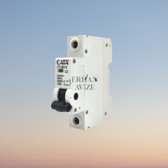 EACT-9616 40 Amper Sigorta B TİPİ ( Monofaze )