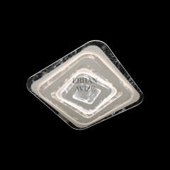 EASD-302 50’lik Plafonyer LED Avize