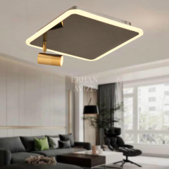 EASD-319 30’luk Platin Kare Plafonyer LED Avize