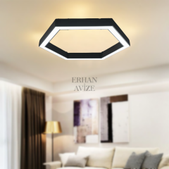 EAAS-51 90’lık Altıgen LED Linear