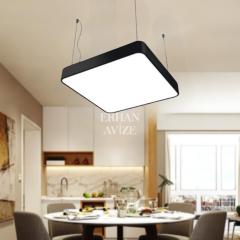 EAAS3300 40’lık Oval Kare LED Linear