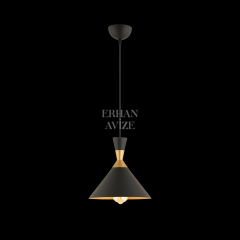 EART-17 25’lik Retro Siyah Avize